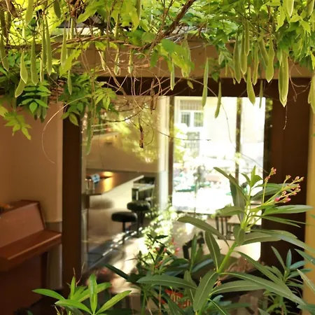 诺伊菲尔德酒店