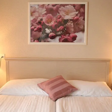Otel Neufeld 3*